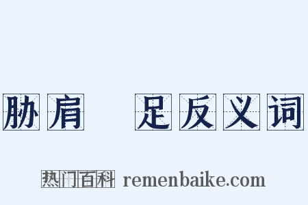 胁肩絫足反义词是什么意思的图片